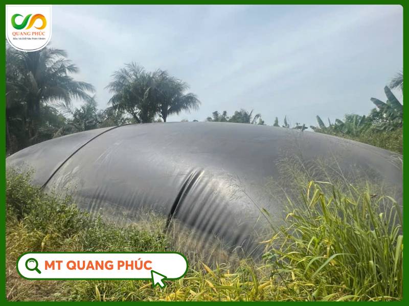 hầm biogas composite