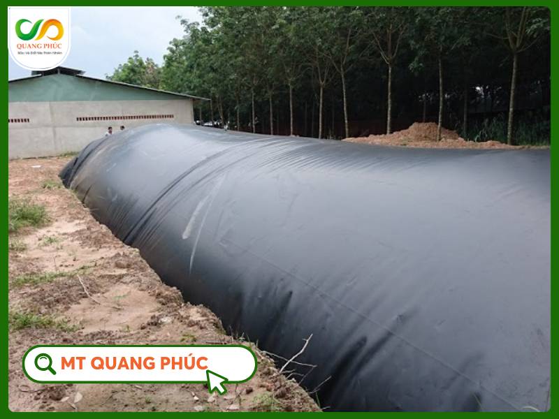 hầm biogas