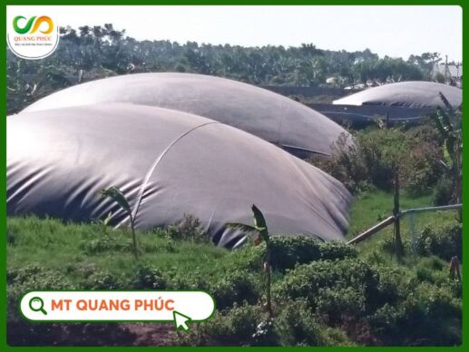 Hầm Biogas Hộ Gia Đình